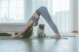 Try the five yoga poses below with your children. From Dog To Cat And Cow See Images Of Animal Yoga Poses And Their Benefits Topideas English News
