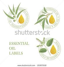 Tree Tea Oil Stock Photos Images Pictures Essential Oil Labels Oil Stock Oil Image