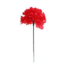 Pin On Things I Ll Probably Never Have
