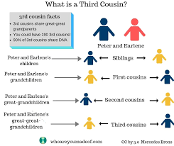 Check spelling or type a new query. What Is A Third Cousin Who Are You Made Of