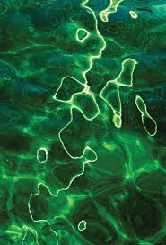 Prasino Dark Green Aesthetic Green Aesthetic Green Photo