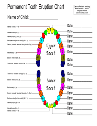 Fillable Online Permanent Teeth Eruption Chart Camino