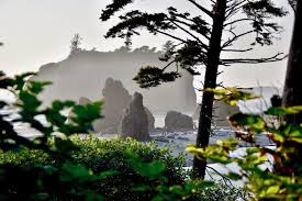 The overnight low will be 52 °f (11.1 °c). Best Of Olympic National Park Journey Jitters