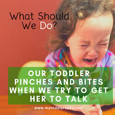 My Toddler Pinches and Bites When We Try to Get Her To Talk — My Toddler  Talks