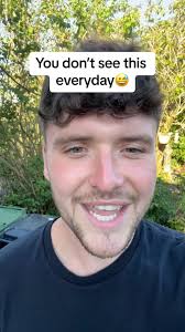 Massive Seagull's Nest Discovery