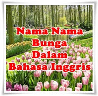 Nama atau nickname game memang lebih bagus dan menarik jika menggunakan huruf keren serta simbol unik. Nama Bunga Dalam Bahasa Inggris Dari A Z Beserta Artinya