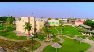 Check spelling or type a new query. Ø´Ø§Ù„ÙŠÙ‡Ø§Øª Ø¬Ø²ÙŠØ±Ø© ÙØ±Ø³Ø§Ù† Ø§Ù„Ù…Ø±Ø³Ø§Ù„