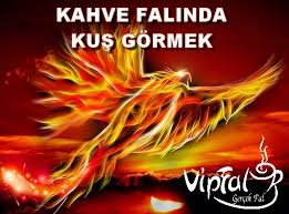 Kahve Falinda Kus Gormek Vipfal Com