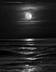 I Have Crossed Oceans Of Time To Find You Tattoo Pin By Tiffany Vitucci On Tattoos In 2020 Night Sky Tattoos Moon Sea Sky Tattoos