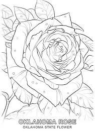 Oklahoma State Flower Coloring Page Free Printable Coloring Pages Rose Coloring Pages Coloring Pages For Grown Ups Coloring Pages
