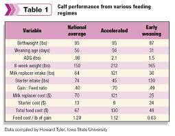 Feeding Dairy Steers For Profitable Weight Gain