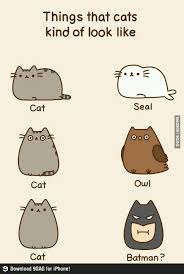 C69870124727f79bb69a4087a2159b3a Jpg 485 720 Pixels Dessins Mignons Humour Dessin Facile A Faire