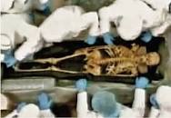 Resultado de imagen para EL DESENTIERRO DE BOLIVAR MALDICION ADELANTADA