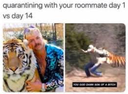 Contact tiger king memes on messenger. Joe Exotic Memes Funniest Memes From The Tiger King