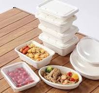 HNMS550 Bagasse Takeaway Box