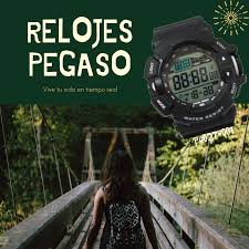 Pin En Relojes Pegaso Vive Tu Vida En Tiempo Real