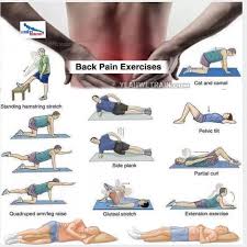 Pin On Exercises