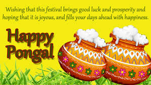 Ean friend elarukum advance happy pongal solietu va. Pongal 2021 Wishes Messages Quotes Photo Facebook And Whatsapp Messages Ritiriwaz