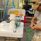 Hands-On Take-Home Chicken Processing