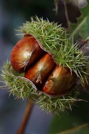 Pin On Autumn