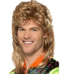 Mens Adult 80s 1980s Mullet Wig Fancy Dress 1980's Jason Brown/Blonde by  Smiffys 5020570421963