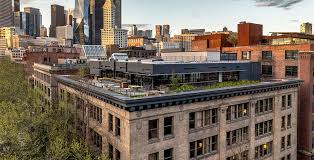 Image result for Populus