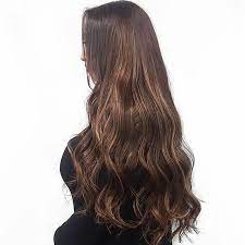 Zala Hair Extensions Hair Clip In Hair Extensions Remy Human Hair Extensions