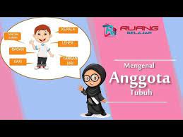 Pemilihan tema akan menentukan gambar yang akan dibuat. Materi Paud Tema Diri Sendiri Cara Mudah Mengenal Anggota Tubuh Youtube