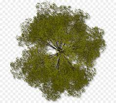 Just right click on each tree image and save the file as png. Arbre Plan Plan Du Site Png Arbre Plan Plan Du Site Transparentes Png Gratuit