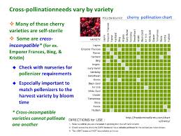 This cross pollination guide allows you to easily identify which apple tree varieties are compatible when cross pollinating. Tree Fruit And Berry Pollination In Virginia And The Mid Atlantic By