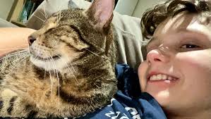 Fundraiser by Mindy Hughes : My best guy Lemmy needs vet orthopaedic  surgery