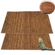 More doodly sketches of a reptile character. Pivby Coconut Fiber Lizard Mat Natural Reptile Carpet Pet Terrarium Liner For Lizard Snake Chamelon Turtle Bedding Bunny Rabbit Buy Online In Guyana At Guyana Desertcart Com Productid 99647837