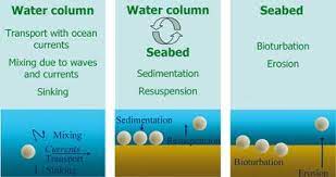 Suspended Particulate Matter Distribution In The North Sea Coastal Wiki