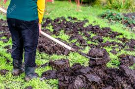 We did not find results for: Landwirt Im Garten Oder In Gartner Die An Bauernhof Arbeiten Dungung Des Bodens Mit Einem Naturlichen Dunger Organisches Landwirtschaftskonzept Lizenzfreie Fotos Bilder Und Stock Fotografie Image 88552966