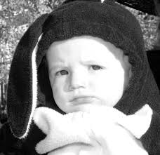 December 2008 Poster Newsletter