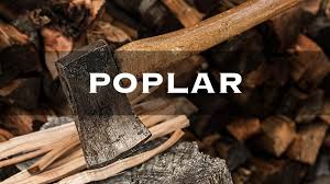 is poplar good for firewood down to earth homesteaders