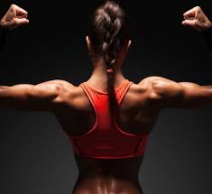 We did not find results for: Consejos Para Reforzar Los Musculos De La Espalda Efe Blog
