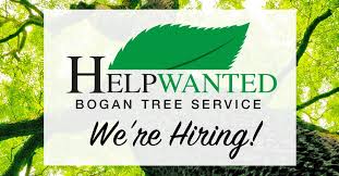 Get in touch today to learn more about our tree services and to schedule a free consultation. Tree Care Workers Wanted Bogan Tree Service Is Hiring Bogan Tree Service