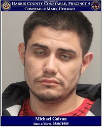 CONSTABLES ARREST SUSPECT FOR POSSESSION OF A CONTROLLED SUBSTANCE AND  UNAUTHORIZED USE OF A MOTOR VEHICLE