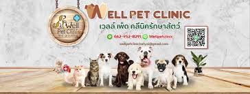 We are in the millison plaza off of fdr boulevard just beyond the movie theater. à¹€à¸§à¸¥à¸¥ à¸£ à¸à¸©à¸²à¸ª à¸•à¸§ Well Pet Clinic And Grooming Home Facebook