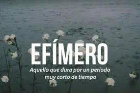 Efimero Aquello Que Dura Por Un Periodo Muy Corto De Tiempo Weird Words Cool Words Words Quotes