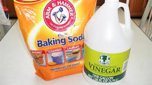 clogged sinks homemade drain cleaner