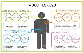 vucut kokusu kotu vucut kokusu