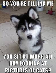 We did not find results for: 30 Funny Animal Captions Part 3 30 Pics I Love Funny Animal Sweet Funny Animal Photo Of The Day