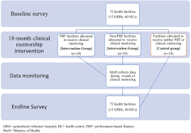 Improving The Quality Of Maternal And Newborn Health Outcomes Through A Clinical Mentorship Program In The Democratic Republic Of The Congo Study Protocol Reproductive Health Full Text