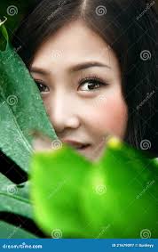 396,556 Asia Grass Stock Photos