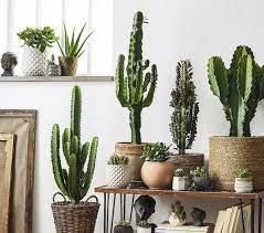 Book cactus petes resort casino, jackpot on tripadvisor: Cactus
