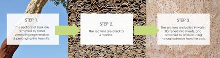 Cork Leather Guide | What Is It, Durability and Comparison vs ...