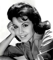 peter mino (petermino)