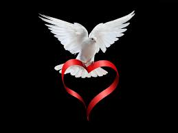 Wayne Weedon Obituary (1990